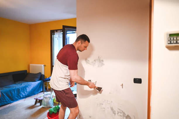 Best Fast Mold Removal  in Annandale, VA